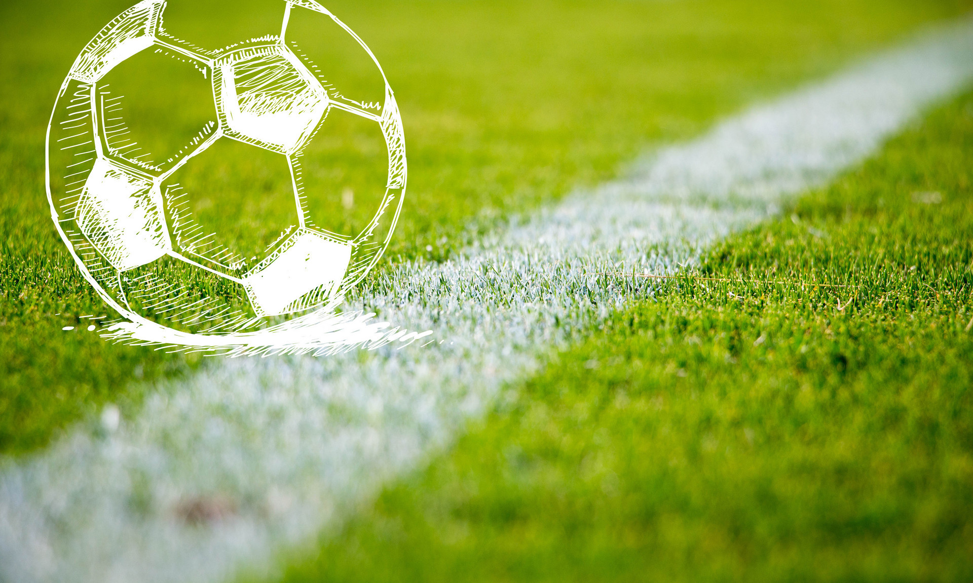 的双重收益 的双重收益