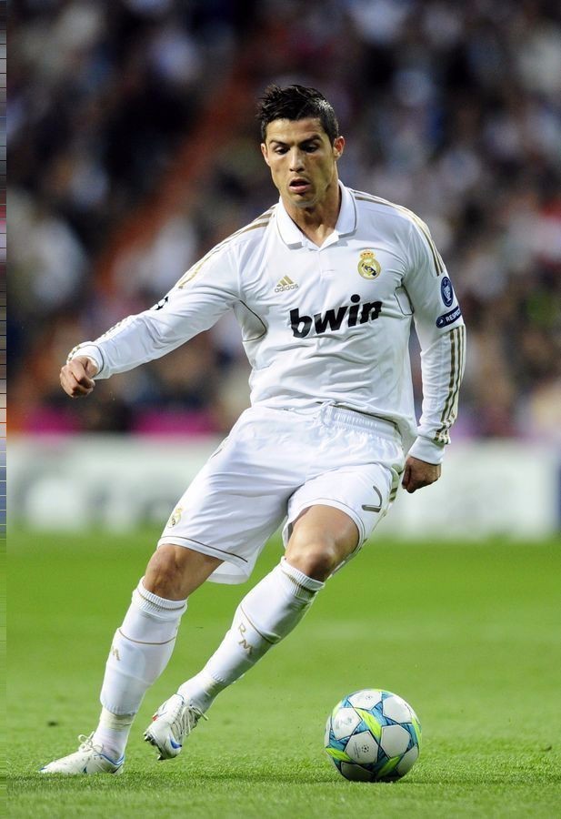 议上强调其 议上强调其