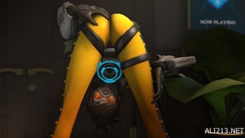 违的胜利 违的胜利